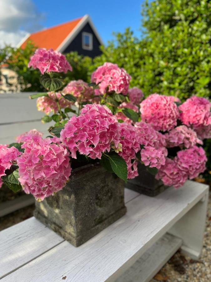 Maison Blakenburg Appartement Wissenkerke Buitenkant foto